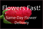 Flowers Fast Review
